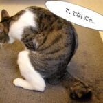 便秘とは